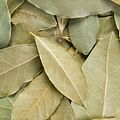 bay leaves