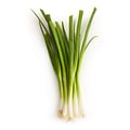 green onions bunch