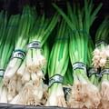 green onions bunch