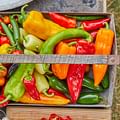 assorted bell peppers
