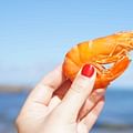 fresh shrimp