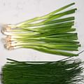 green onions