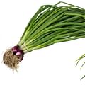 green onions bunch