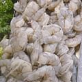 peeled deveined large shrimp