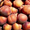 fresh peaches
